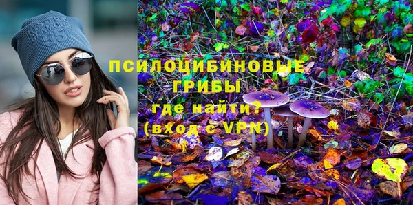 мяу мяу мука Белокуриха