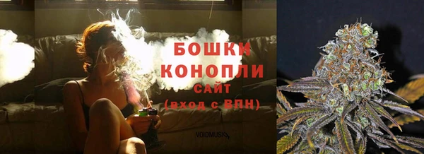 гашик Липки