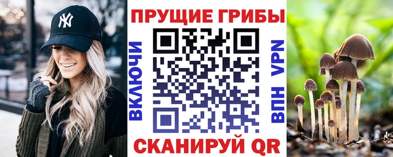 ОМГ ОМГ tor  Покровск  Псилоцибиновые грибы ЛСД 